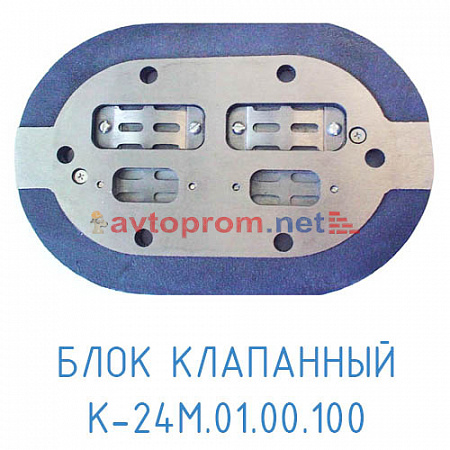 Блок клапанный К24M.01.00.100 (19)